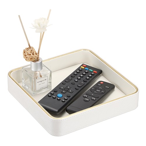 Remote control organizer - remote, tray